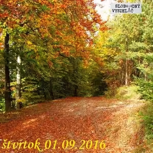 Motorové myši 83 - 2016-09-01 prípravy na jeseň…