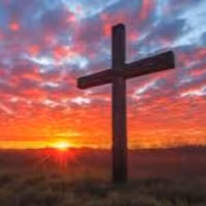 Hnal jsem se za slávou