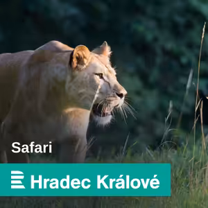 Zažil průvodce Marián Vágner kempování v africké přírodě jako jeho slavný dědeček Josef Vágner?