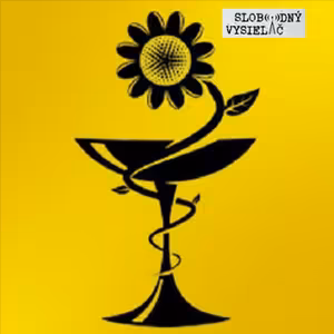 Sám sebe lekárom 371 - 2025-12-21 „Filosofia liečenia. Prečo mnohí zlyhávajú, aj keď majú dostatok vedomostí ?“