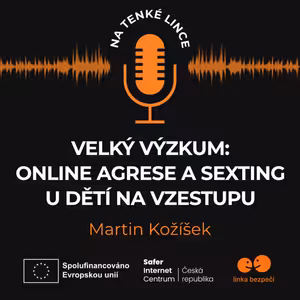 Velký výzkum: Online agrese a sexting u dětí na vzestupu