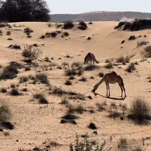 Ešus 23/3/2026 Nikol, František a Blízký východ