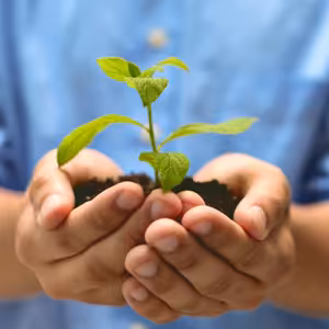 Dorůst do dětské důvěry k Bohu