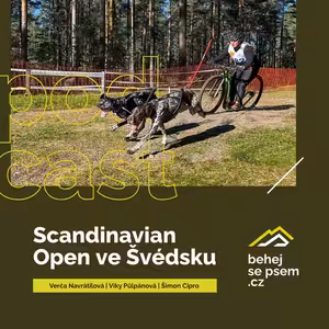 Scandinavia Open Championship