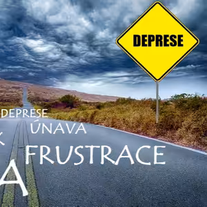 Nechtějte, co život nedá (jak překonat depresi) | Ajahn Brahm | 25.6.2010
