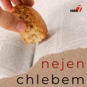 Nejen chlebem: V Boží náruči (50/52): Perla žalmů