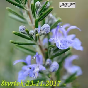 Verejné tajomstvá 150 - 2017-11-23 Energetická terapia