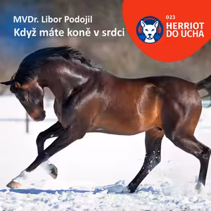 #23 Když máte koně v srdci 🐎 - MVDr. Libor Podojil