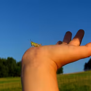Piatok po 3. pôstnej nedeli