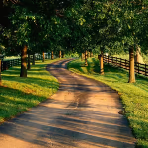 Dopoludnie na Infovojne s Adrianom 19.8.2022