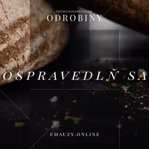 28. deň - Ospravedlň sa