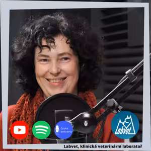 Potravní alergie psů a koček