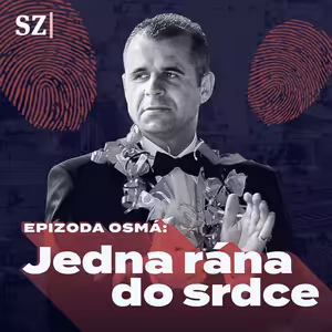 Epizoda osmá: Jedna rána do srdce