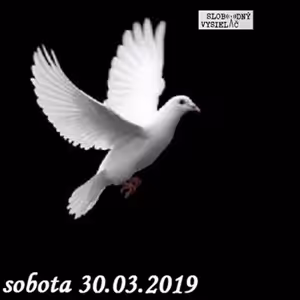 V prvej línii - 2019-03-30 Strácame slobodu slova ?