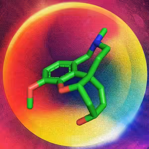 Morbidní obezita, Sugar Denny a nasraný Karel