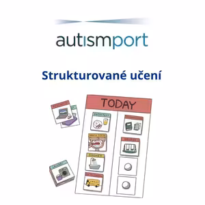 Strukturované učení