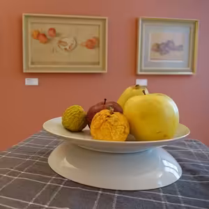 Stredoslovenská galéria pozýva na výstavu Ako na umenie... 5/zátišie v Bethlenovom dome