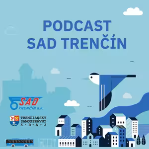 SAD Trenčín - História verejnej dopravy