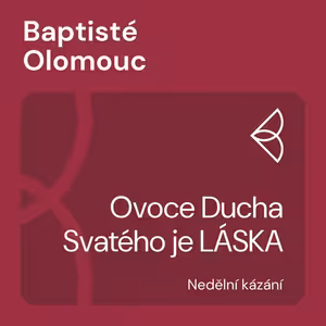 Ovoce Ducha Svatého je LÁSKA (21.6.2020)