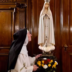 HoRe: sestra Dominika