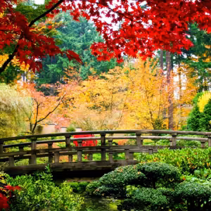 Dopoludnie na Infovojne s Adrianom 11.6.2025