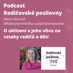 93 - O uklízení a jeho vlivu na vztahy rodičů a dětí s Alenou Vávrovou