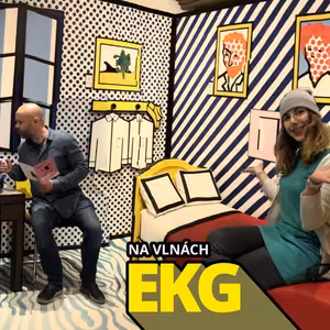 Češka okradla v Amsterdamu turistku a prošlo jí to. Co bude příště⁉