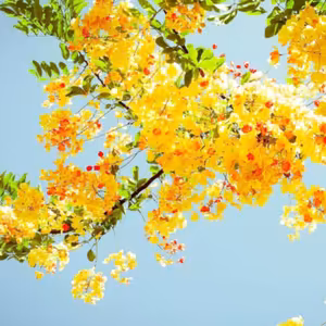 Dopoludnie na Infovojne s Adrianom 13.7.2022