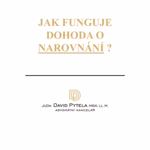 35: Jak funguje dohoda o narovnání?