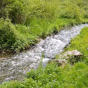 Několik myšlenek - 7. Zastavení, tekoucí potok a zpěv ptáků, meditace beze slov