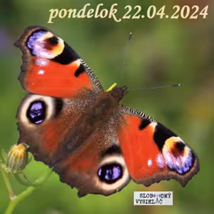 Finančné zdravie 164 - 2024-04-22 „Z každého rošku trošku“