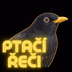 Nocoviště #3: Dokážu vidět ptačí i žabí zpěv. O ptácích v poezii, umění a hudbě s Vítem Zavadilem