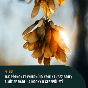 #60 Jak překonat VNITŘNÍHO KRITIKA (bez boje) a mít se rádi – 4 kroky k sebepřijetí