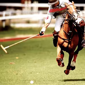 Konské pólo (Laco "Šerif" Agárdi)