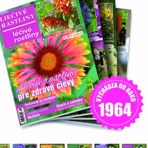 Liečivé rastliny 06 Očista organizmu