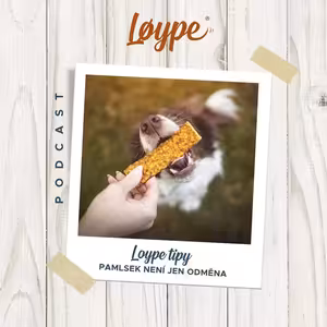 125 | Pamlsek není jen odměna | Loype tipy