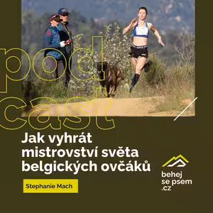Jak vyhrát mistrovství světa belgických ovčáků? | Stephanie Mach