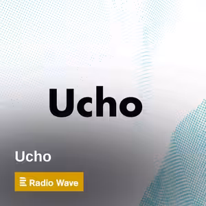 Ucho