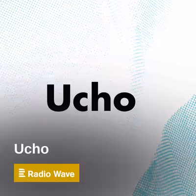 Ucho