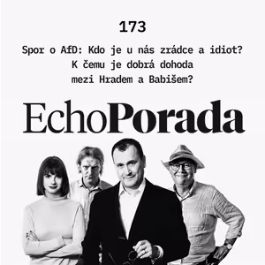 Spor o AfD: Kdo je u nás zrádce a idiot? K čemu je dobrá dohoda mezi Hradem a Babišem?