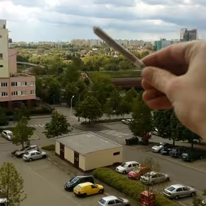 Gold ES-Štafeta (Demo)