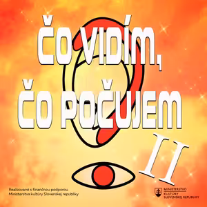 Čo vidím, čo počujem II. - #14 - Vianočné svetielka nádeje