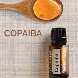 Tajemství Amazonského Pralesa: Léčivá Síla Copaiba Oleje 🌳💧