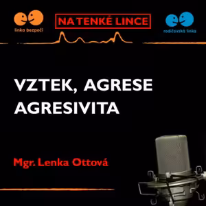 Vztek, agrese a agresivita