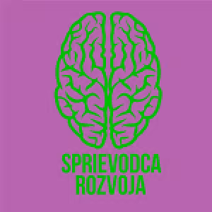 Čo môže robiť manažér ak nemá peniaze na rozvoj - 6. časť Sprievodca rozvoja mikropodcast