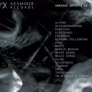 Various Artists - Axaminer Sampler vol. 8