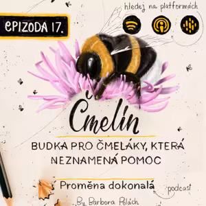 #17 Čmelín, budka pro čmeláky, která neznamená pomoc