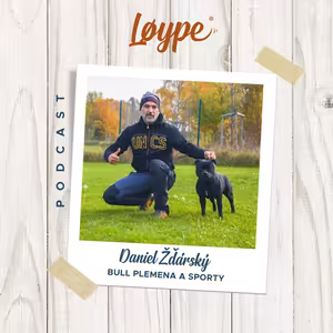 114 | Bull plemena a sporty | Daniel Žďárský