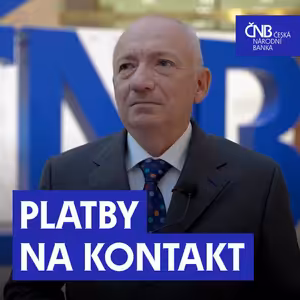 Platby na kontakt zjednoduší posílání peněz mezi lidmi. Co o nich potřebujete vědět?