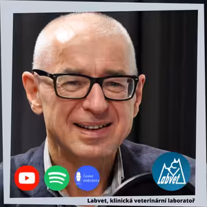 Vetbook - hotel a služby pro veterinární data